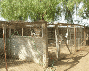 Good poultry facility example