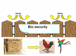 Good biosecurity