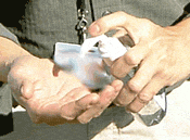 Sanitizing hands