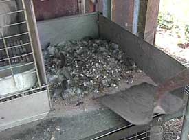 Remove bird manure