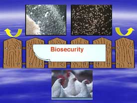 Good biosecurity