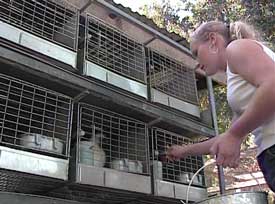 Cleaning cages