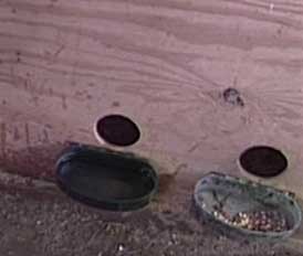 Bird waterers and feeders