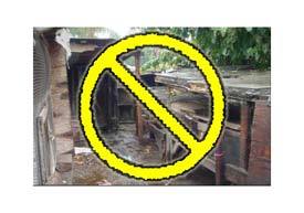 Poor bird  quarters