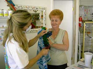Groomers handling a bird