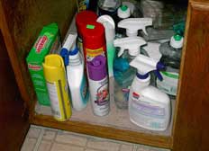 Household chemicals put birds at risk