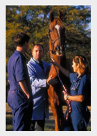 Equine exam Courtesy of University of Missouri-Columbia