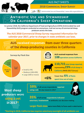AUS Fact Sheets 2018 Commercial Sheep Survey Cover
