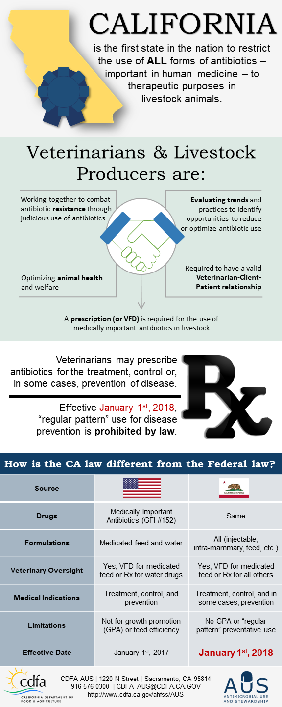 Infographic