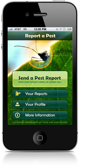 Report A Pest iPhone screen