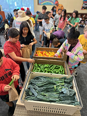 Palm Springs 2022 Farmers Market