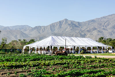 A white event tent set up in a vinyard