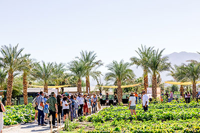 Attendees and palm trees outdoors
