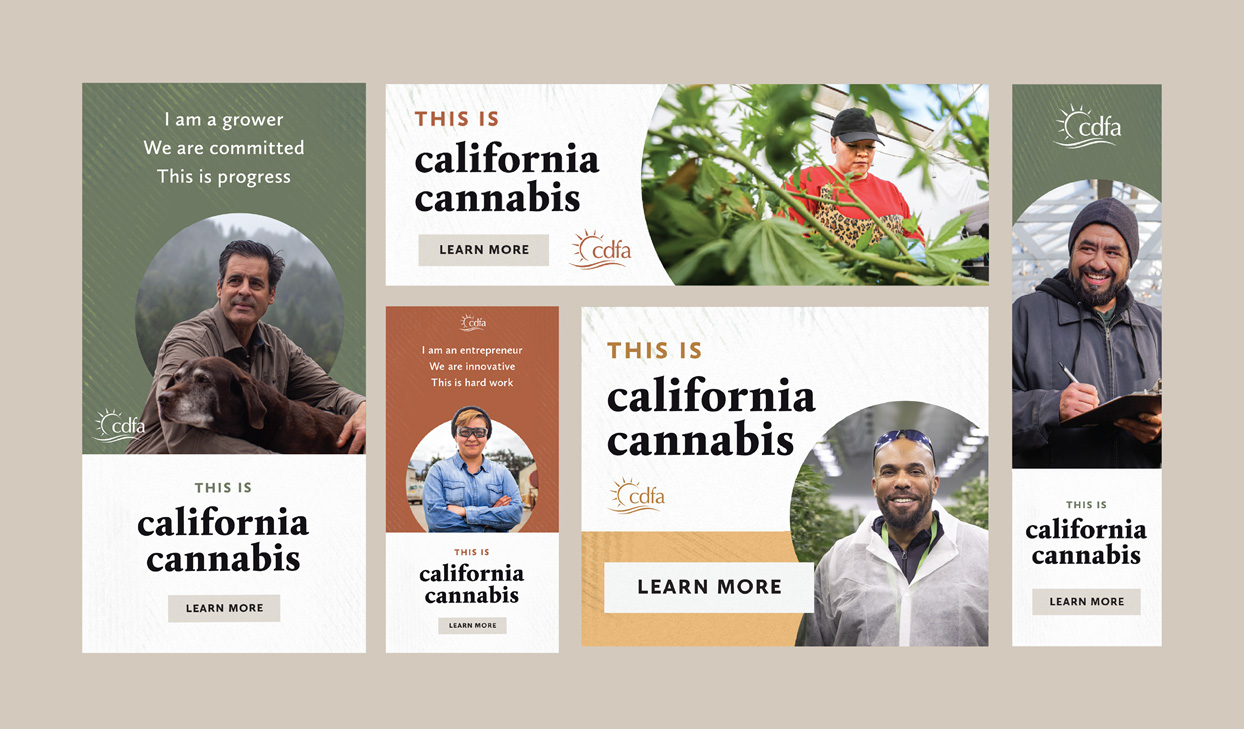 Digital CalCannabis licensing ads.