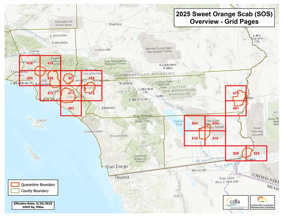 2025 SOS Overview