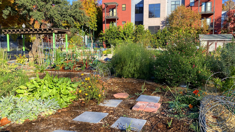 photo: lush community garden