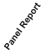 Panel Report