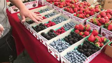 berries on table