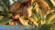 Almond Futures