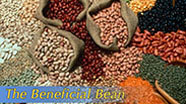 Video thumbnail for Growing California video series: The Beneficial Bean