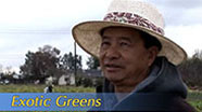 Video thumbnail for Growing California video series: Exotic Greens