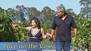 Video thumbnail for Growing California video series: Love on the Vine