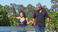 Love on the Vine