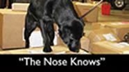 The Nose Knows