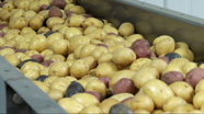 Small Potatoes