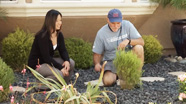 Drought Landscaping