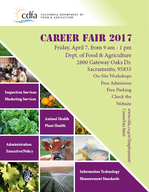 Career Fair Flyer