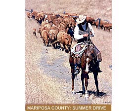 Mariposa County : Summer Drive
