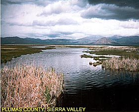 Plumas County: Seirra Valley