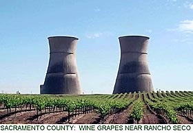 Sacremento County: Wine Grapes near Rancho Seco