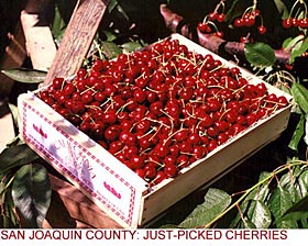 San Joaquin County: Cherries