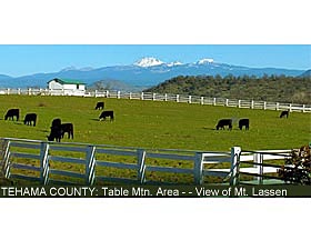 Tehama County: View of Mount Lassen