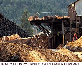 Trinity County:Lumber Company
