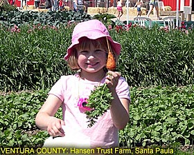 Ventura County: Hansen Trust Farm