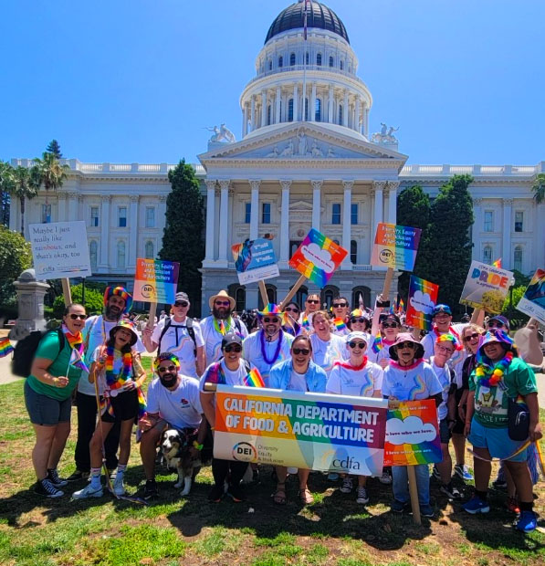 2025 cdfa dei at pride march