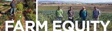 Farm Equity Homepage