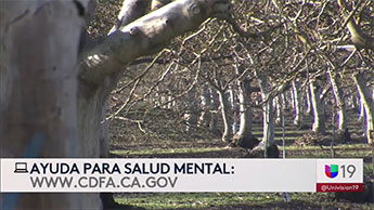 YouTube: Recursos disponibles de salud mental para trabajadores agrícolas en California