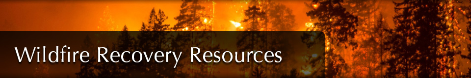 Wildfire Recovery Resources