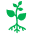 plant sprout icon