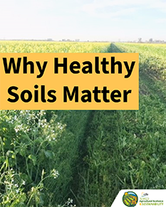 thumb instagram 1080x1350 post2a