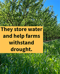 thumb instagram 1080x1350 post2c