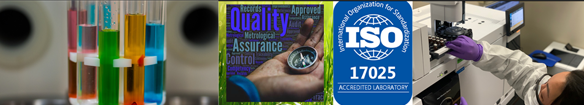 Quality Assurance collage and link