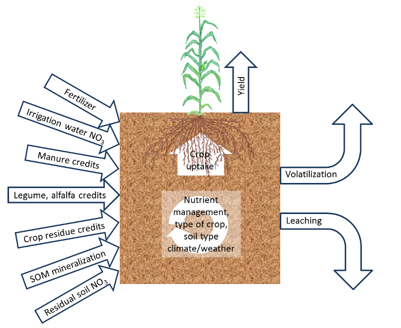 Site-specific factors