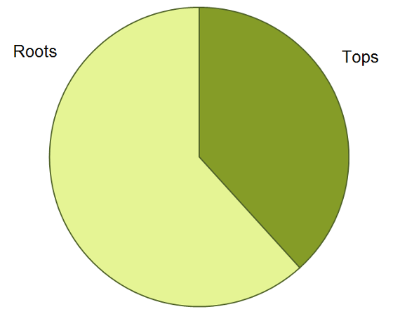 Nitrogen partitioning pie chart