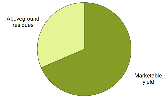 Nitrogen partitioning pie chart