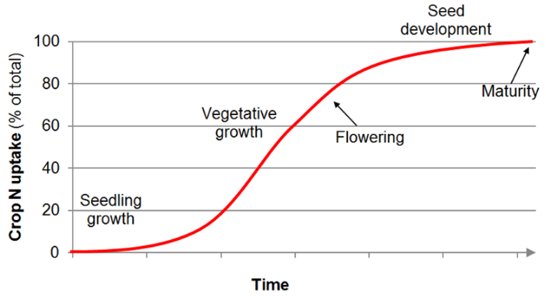 N uptake curve